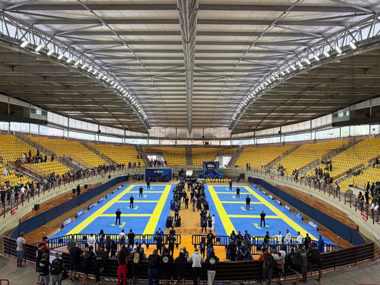 Guia completo dos campeonatos de artes marciais 2026