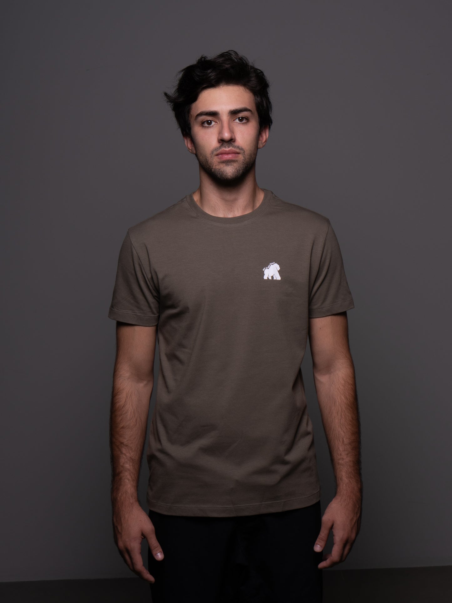 Camiseta Gorilaz GLZ Café — Algodão Pima premium BJJ