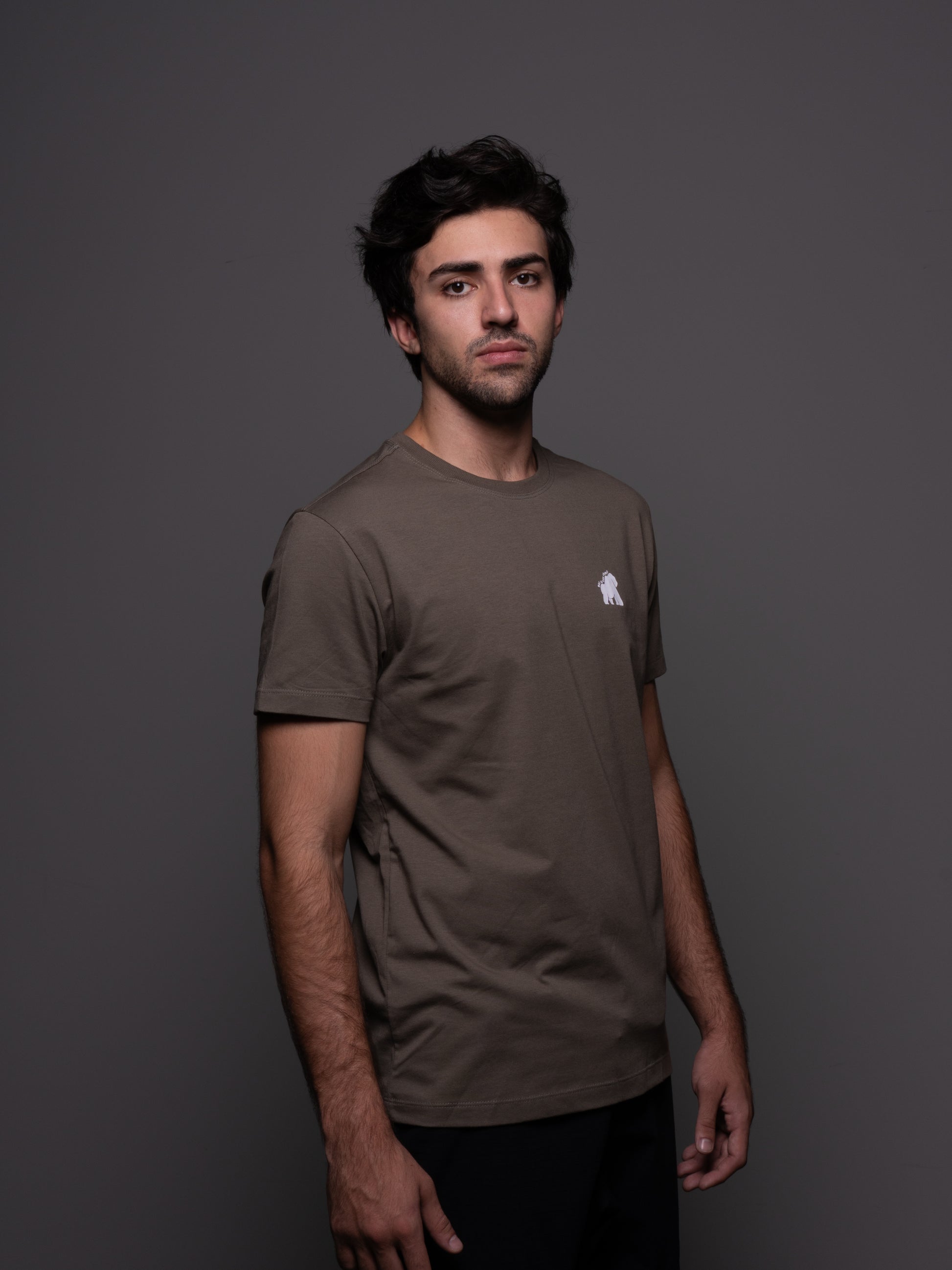 Camiseta GLZ Café Gorilaz — Vista costas estampa exclusiva